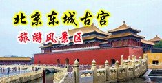 操jk白虎逼啊啊啊观看中国北京-东城古宫旅游风景区